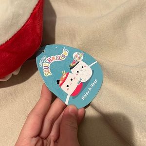 A raisy and shun squishmallow